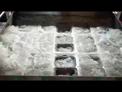 Máquina de caixa de concha moldada em polpa SHM