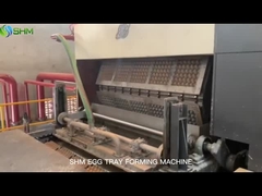 Máquina de fabricação de bandejas de ovos 220V
