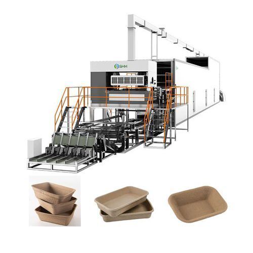 Fully Automatic Paper Egg Carton Making Machine | Molded Pulp Egg Box Production Line | SHM